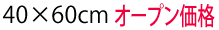 天板購入＋取付40×60