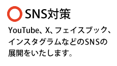 SNS対策